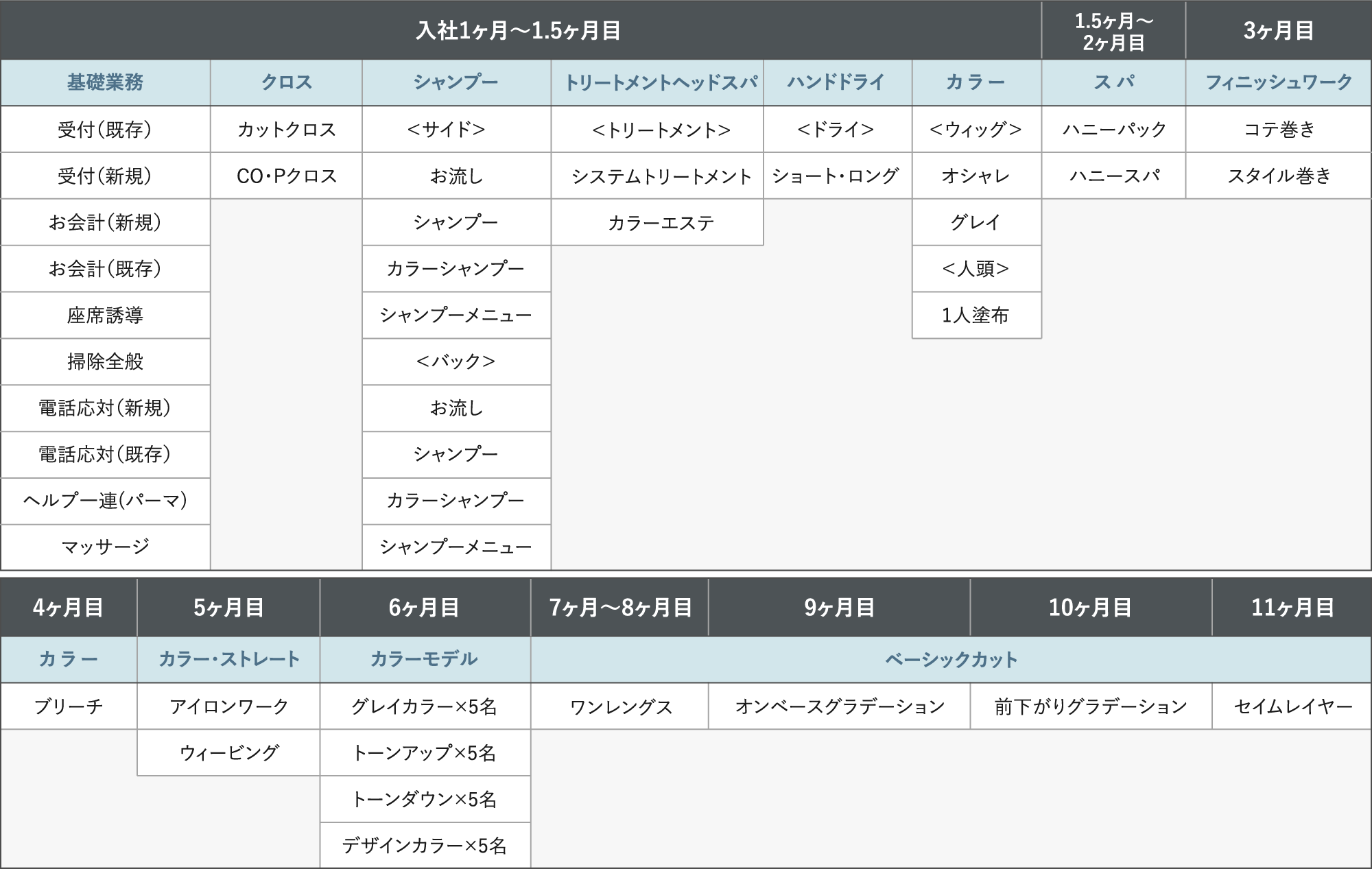 「入社1ヶ月～1.5ヶ月目」基礎業務：受付（既存）・受付（新規）・お会計（新規）・お会計（既存）・座席誘導・掃除全般・電話応対（新規）・電話応対（既存）・ヘルプ一連(パーマ)・マッサージ／クロス：クロスカットクロス・CO・Pクロス／シャンプー：＜サイド＞　・お流し・シャンプー・カラーシャンプー・シャンプーメニュー・＜バック＞・お流し・シャンプー・カラーシャンプー・シャンプーメニュー／トリートメントヘッドスパ：＜トリートメント＞・システムトリートメント・カラーエステ／ハンドドライ：＜ドライ＞・ショート・ロング／カラー：＜ウィッグ＞・オシャレ・グレイ・＜人頭＞・1人塗布 「1.5ヶ月〜2ヶ月目」スパ：ハニーパック・ハニースパ 「3ヶ月目」フィニッシュワーク：コテ巻き・スタイル巻き 「4ヶ月目」カラー：ブリーチ 「5ヶ月目」カラー・ストレート：アイロンワーク・ウィービング 「6ヶ月目」カラーモデル：グレイカラー×5名・トーンアップ×5名・トーンダウン×5名・デザインカラー×5名 「7ヶ月〜8ヶ月目」ベーシックカット：ワンレングス 「9ヶ月目」ベーシックカット：オンベースグラデーション 「10ヶ月目」ベーシックカット： ベーシックカット：前下がりグラデーション 「11ヶ月目」ベーシックカット：セイムレイヤー